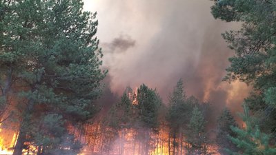 За добу на Миколаївщині загасили 18 пожеж. Дві з них сталися внаслідок обстрілів