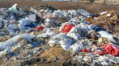 Херсонські плавні люди закидали тоннами сміття Херсонські плавні люди закидали тоннами сміття