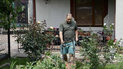 Стрижка газона Стрижка газона