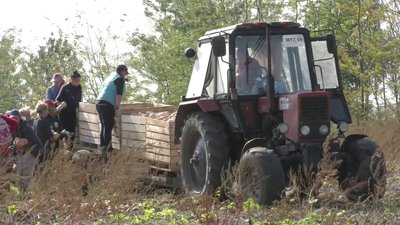 Херсонські гарбузи експортують до Великобританії Херсонські гарбузи експортують до Великобританії
