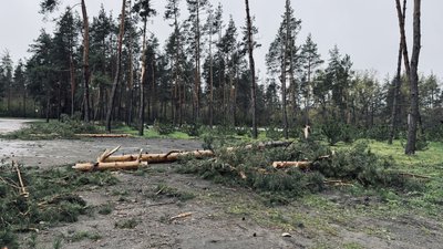 Буревій