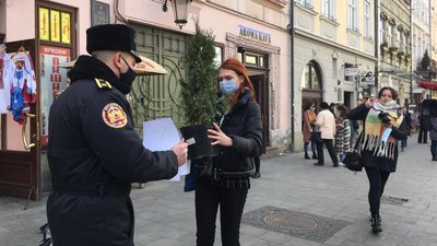 На Львівщині планують висадити понад 200 тисяч дерев На Львівщині планують висадити понад 200 тисяч дерев