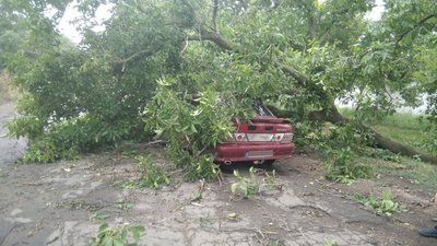 На Миколаївщині рятувальники допомагають ліквідовувати наслідки негоди На Миколаївщині рятувальники допомагають ліквідовувати наслідки негоди