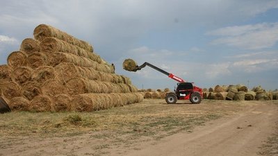 Компанія "Сингента" звільнила Станіслава Шеремета, якого військові РФ призначили "директором" "Асканійського"