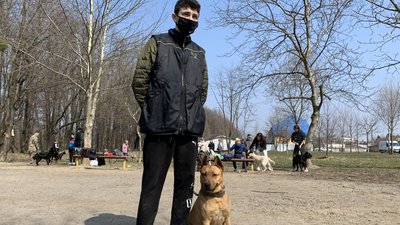 Щосуботи на Закарпатті проводять безкоштовні заняття для собак Щосуботи на Закарпатті проводять безкоштовні заняття для собак
