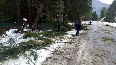 Пошкоджено дахи 89-ти будівель та повалено 13 дерев: наслідки негоди на Львівщині