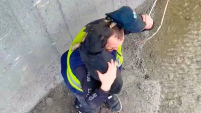 Волонтер, який вивозив людей з Маріуполя, врятував пса у деокупованому Куп'янську на Харківщині