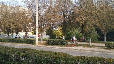 У Луцьку всихає майже 5 тисяч каштанів. Що кажуть науковці та екологи У Луцьку всихає майже 5 тисяч каштанів. Що кажуть науковці та екологи