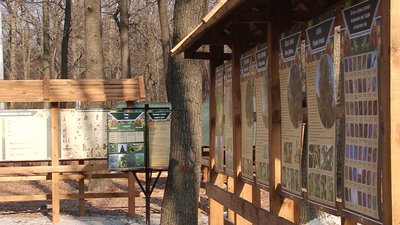 Клас шкільного лісництва відкрили на Полтавщині