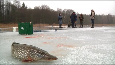 За тиждень рибоохоронний патруль Житомирщини зафіксував 33 правопорушення За тиждень рибоохоронний патруль Житомирщини зафіксував 33 правопорушення