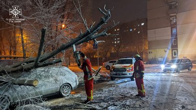 У Києві дорожники та рятувальники долають наслідки негоди