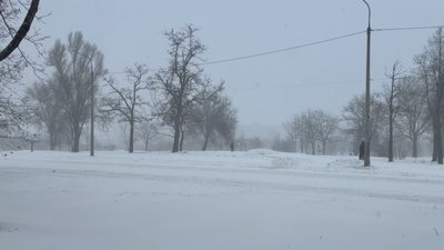 Сніг у Запоріжжі 11 січня