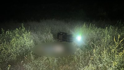 Фото з місця аварії, яка трапилася 21 червня у селі Василівка