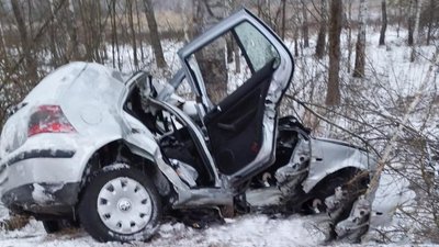 Врізався у дерево на узбіччі: поліція на Житомирщині з'ясовує обставини смертельної ДТП Врізався у дерево на узбіччі: поліція на Житомирщині з'ясовує обставини смертельної ДТП