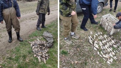 Майже сто тисяч гривень збитків завдали браконьєри з Черкащини Майже сто тисяч гривень збитків завдали браконьєри з Черкащини