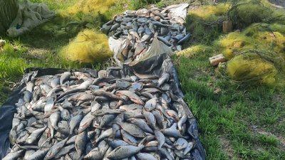 Риби на майже 2 мільйони гривень: на Полтавщині виявили браконьєрів