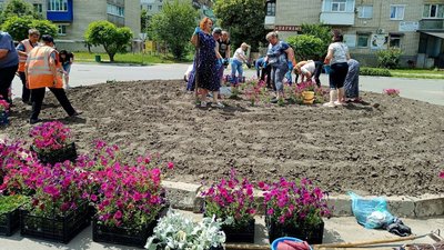 "Посади квіти"