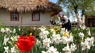 У селі Городське на Житомирщині помолилися за перемогу та мир в Україні У селі Городське на Житомирщині помолилися за перемогу та мир в Україні
