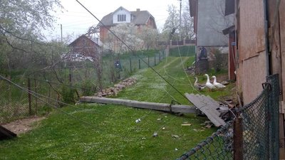 Знеструмлення, світло, негода, сильний вітер, Прикарпаттяобленерго, відключення