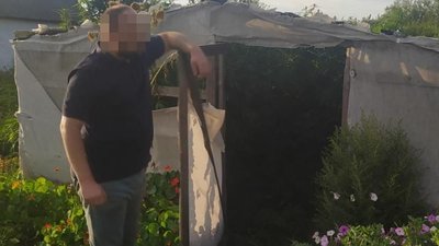На Житомирщині виявили теплицю з коноплею На Житомирщині виявили теплицю з коноплею
