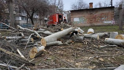 У Миколаєві впало дерево. Як відреагували міські служби У Миколаєві впало дерево. Як відреагували міські служби