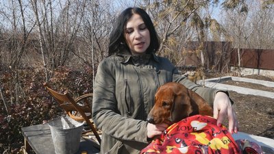 Залишили напризволяще: у Бахмуті шукають людей, які викинули за містом травмованого собаку Залишили напризволяще: у Бахмуті шукають людей, які викинули за містом травмованого собаку