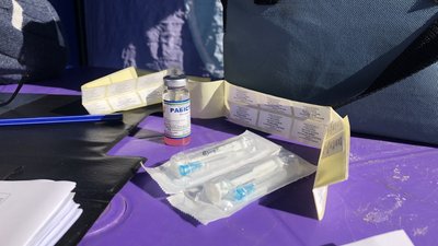 У Полтаві відновили безплатну вакцинацію тварин від сказу: де робитимуть щеплення У Полтаві відновили безплатну вакцинацію тварин від сказу: де робитимуть щеплення