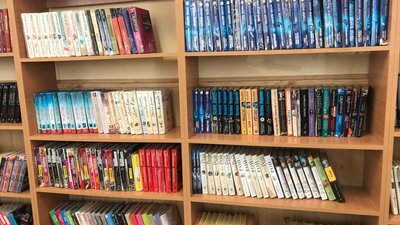 У бібліотеках Житомира вилучають книги, зміст яких спрямований на ліквідацію незалежності України У бібліотеках Житомира вилучають книги, зміст яких спрямований на ліквідацію незалежності України