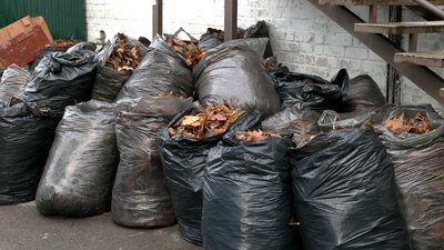 Сезон опалого листя: чому рівненським ОСББ треба платити за його вивіз Сезон опалого листя: чому рівненським ОСББ треба платити за його вивіз