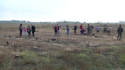 На Херсонщині за годину висадили 28,5 тисяч дерев в рамках всеукраїнської акції "Озеленимо Україну" На Херсонщині за годину висадили 28,5 тисяч дерев в рамках всеукраїнської акції "Озеленимо Україну"