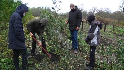 На Житомирщині школярі вирощують саджанці для продажу