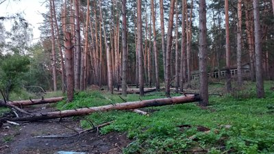 Російські окупанти завдали шкоди довкіллю Харківщини на суму 78 мільярдів — Держекоінспекція