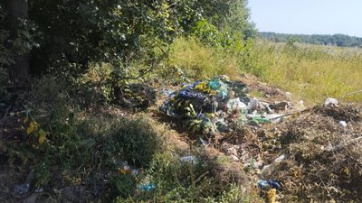 житомир, сміття, екоінспекція, 8 вересня 2025 року