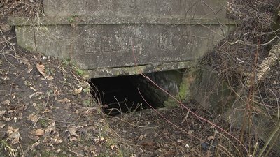 "Глибина дуже велика": що кажуть жителі про провалля у лісі на Тернопільщині "Глибина дуже велика": що кажуть жителі про провалля у лісі на Тернопільщині