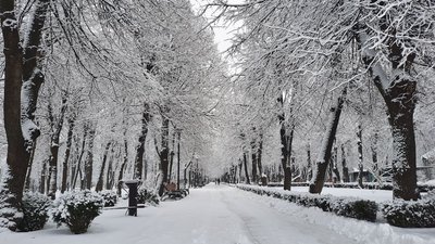 Погода у Кіровоградській 21 та 22 лютого – Суспільне 