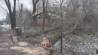 П'ять діб без електрики. Як мешканці села у Ворожбянській громаді на Сумщині жили повністю без світла П'ять діб без електрики. Як мешканці села у Ворожбянській громаді на Сумщині жили повністю без світла