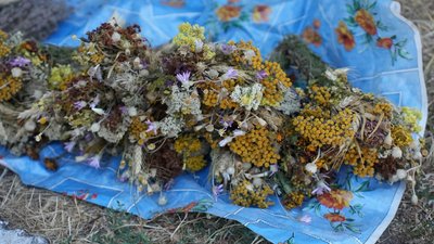 У Кропивницькому відзначають Яблучний Спас У Кропивницькому відзначають Яблучний Спас