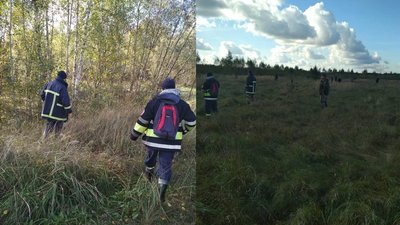 Періодично стукайте по дереву: що робити, якщо пішли за грибами і заблукали