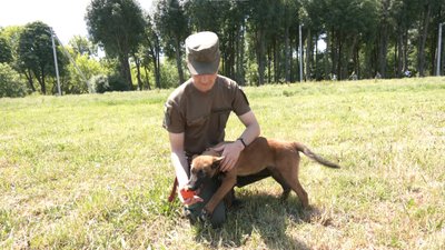 Артем Мосійчук з собакою Жуді Артем Мосійчук з собакою Жуді