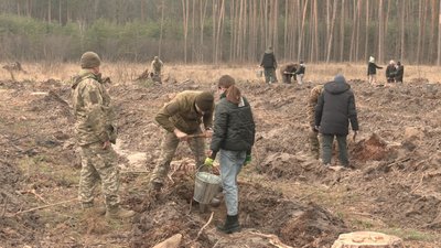 На місці вирубаного лісу. На Харківщині хочуть посадити мільйон дерев На місці вирубаного лісу. На Харківщині хочуть посадити мільйон дерев