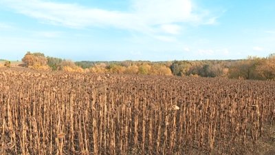 Отрутохімікати Отрутохімікати