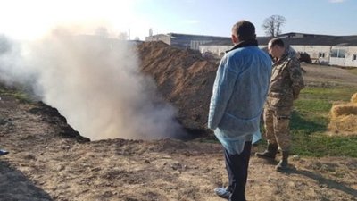 У Каховці Херсонської області підтвердився спалах африканської чуми свиней У Каховці Херсонської області підтвердився спалах африканської чуми свиней