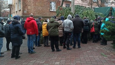 У Кропивницькому відбувся ярмарок новорічних дерев У Кропивницькому відбувся ярмарок новорічних дерев