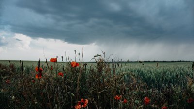 На Полтавщині цими вихідними можливі короткочасні дощі та грози