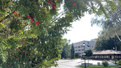 Житомир, вересень 2025 року