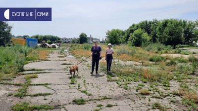 Екватор "Школи маленького волонтера" в Сумах: що робили та чого навчилися Екватор "Школи маленького волонтера" в Сумах: що робили та чого навчилися