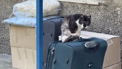 У Добропіллі почалась примусова евакуація дітей: чи погоджуються родини виїжджати У Добропіллі почалась примусова евакуація дітей: чи погоджуються родини виїжджати