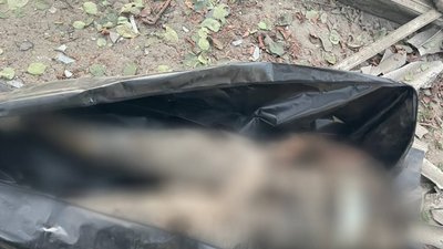Армія РФ вдарила по Торецьку з "Тюльпана", загинули четверо людей Армія РФ вдарила по Торецьку з "Тюльпана", загинули четверо людей