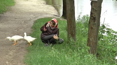 Облаштування частини території дендропарку у Полтаві обійдеться у понад мільйон гривень Облаштування частини території дендропарку у Полтаві обійдеться у понад мільйон гривень