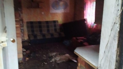 Кіт розбудив свого господаря і врятував від пожежі на Сумщині